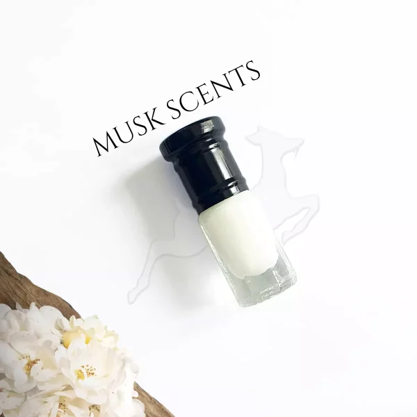 foto musk